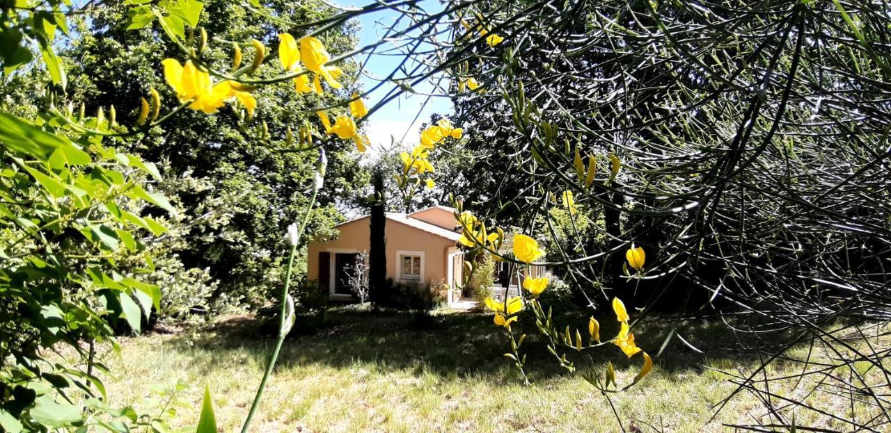 Les Lilas Des Chenes Piolenc Exterior photo